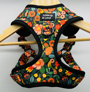 Lottie And Lotus Harness Step In Black Floral Med