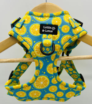 Lottie And Lotus Harness Step In Blue Citrus Sml