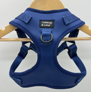 Lottie And Lotus Harness Step In Blue Xsml