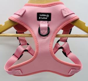 Lottie And Lotus Harness Step In Fairy Tail Pink Xlge