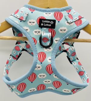 Lottie And Lotus Harness Step In Clouds And Balloons Med