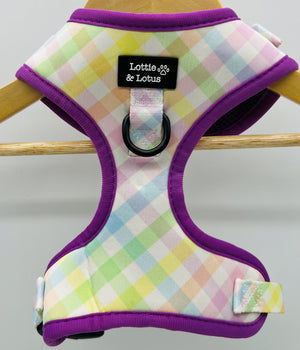 Lottie And Lotus Harness Rainbow Gingham Med