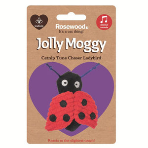 Jolly Moggy Catnip Tune Chaser LadyBird