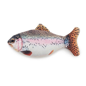 Catnip Trout Fish Cat Toy