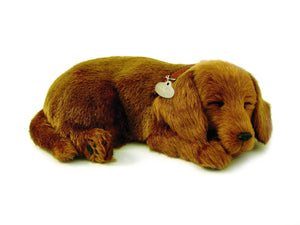 Plush Toy - Perfect Petz Dachshund with Bed