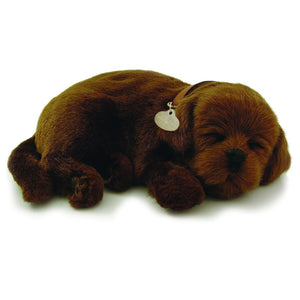 Plush Toy - Perfect Petz Chocolate Lab with Bed