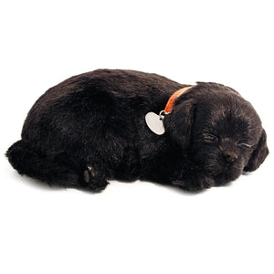 Plush Toy - Perfect Petz Black Lab with Bed