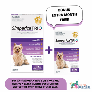 Simparica Trio 2.6-5kg Purple 3pk