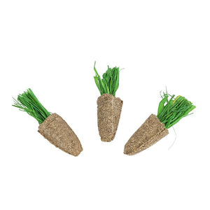 Nature Island Chew and Play Edible Alfalfa Carrots 3pk