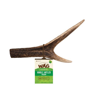 WAG Antler Whole Medium