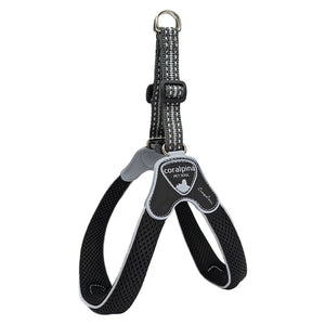 Coralpina Cinquetorri Harness Black