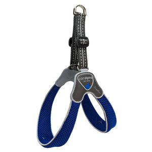 Coralpina Cinquetorri Harness Blue