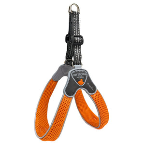 Coralpina Cinquetorri Harness Burnt Orange