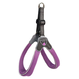 Coralpina Cinquetorri Harness Lilac