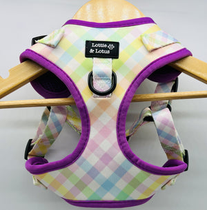 Lottie And Lotus Harness Step In Rainbow Gingham Med