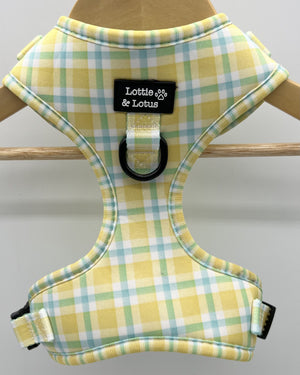 Lottie And Lotus Harness Yellow Gingham Med