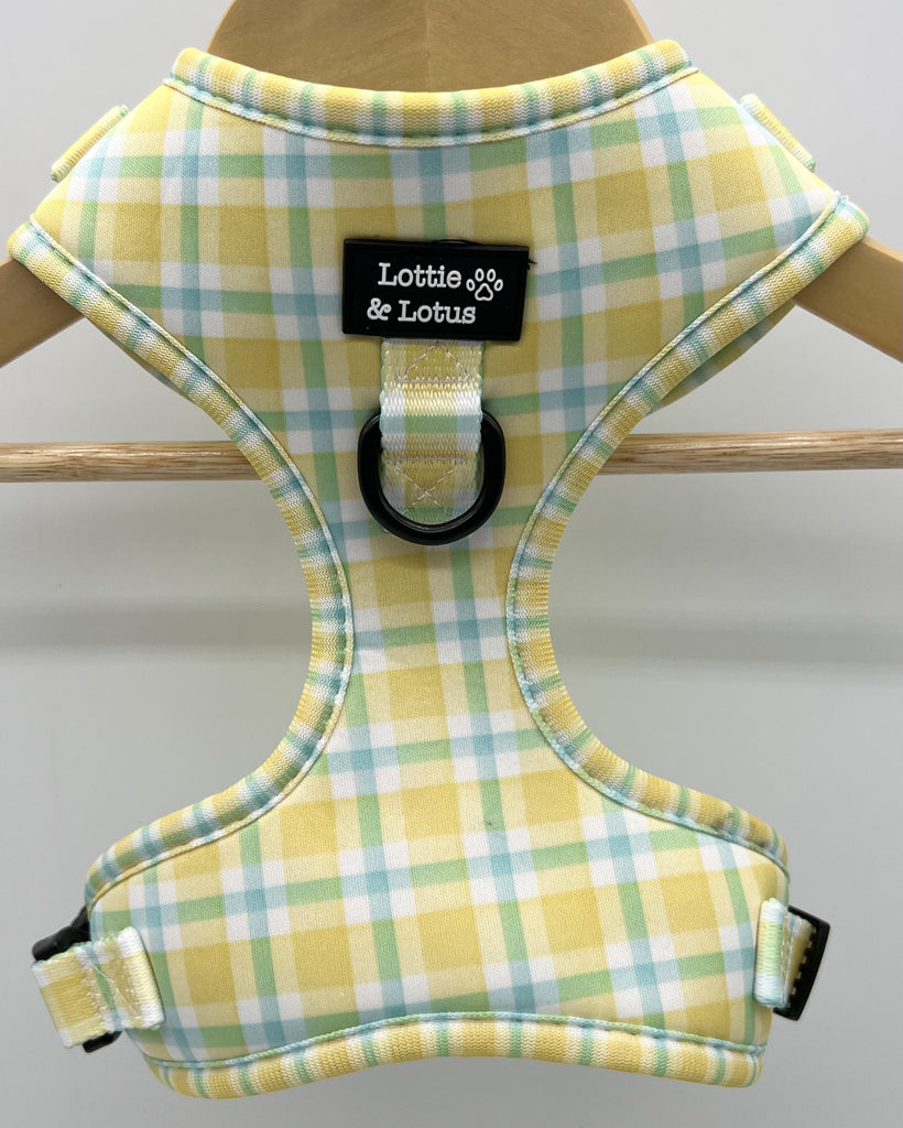 Lottie And Lotus Harness Yellow Gingham Xlge