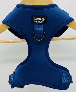 Lottie And Lotus Harness Blue Med