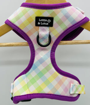 Lottie And Lotus Harness Rainbow Gingham Xsml