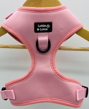 Lottie And Lotus Harness Fairy Tail Pink Xsml