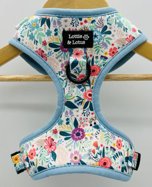 Lottie And Lotus Harness Blue Floral Med