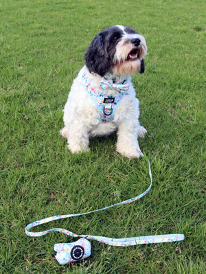 Lottie And Lotus Harness Blue Floral Sml