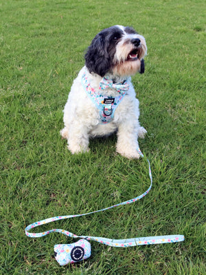 Lottie And Lotus Harness Step In Blue Floral Xlge