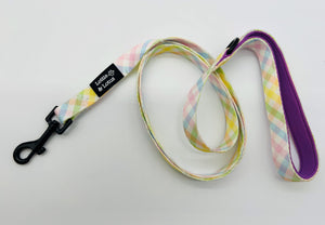 Lottie And Lotus Lead Rainbow Gingham Xsml-Sml