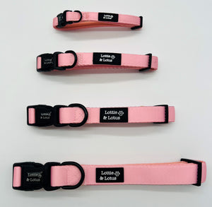 Lottie And Lotus Dog Collar Fairy Tail Pink Med